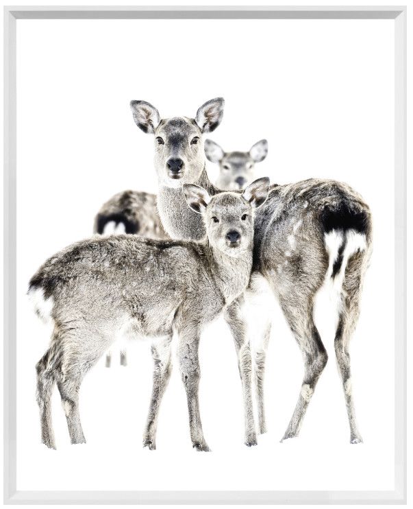 Art - Maternal Vigil, Size: Mini 17" x 21"