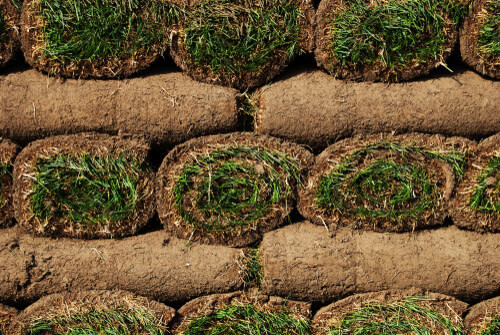 SOD - 1 skid (70 rolls)