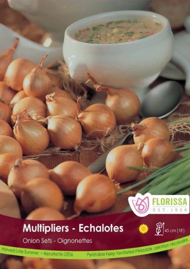 Onion Sets - Multiplier's (15 bulbs)
