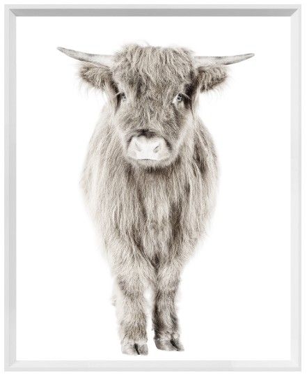 Art - Highland Calf, Size: Mini 17" x 21"