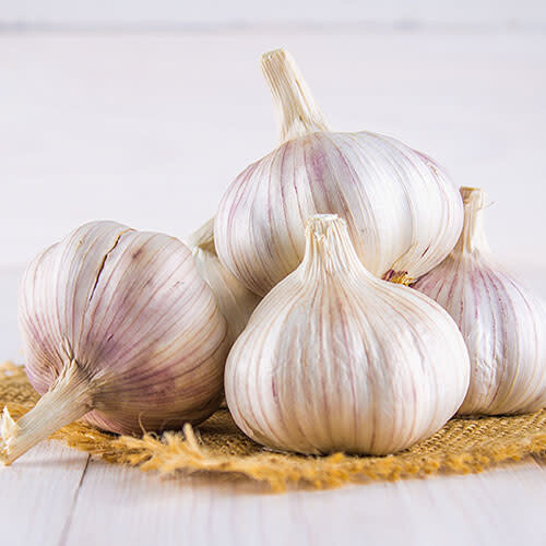 Garlic (bulb pkg) Metechi Tops (3/pkg)