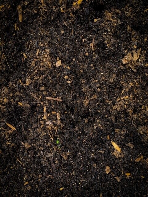 Sandhill Garden Mix  [Bulk]