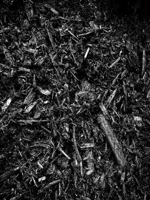 Mulch - Black [Bulk]