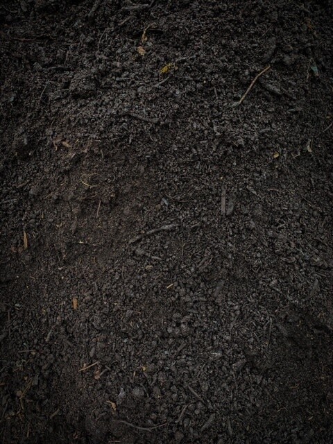 Sandhill Topsoil + Organic Mix  [Bulk]