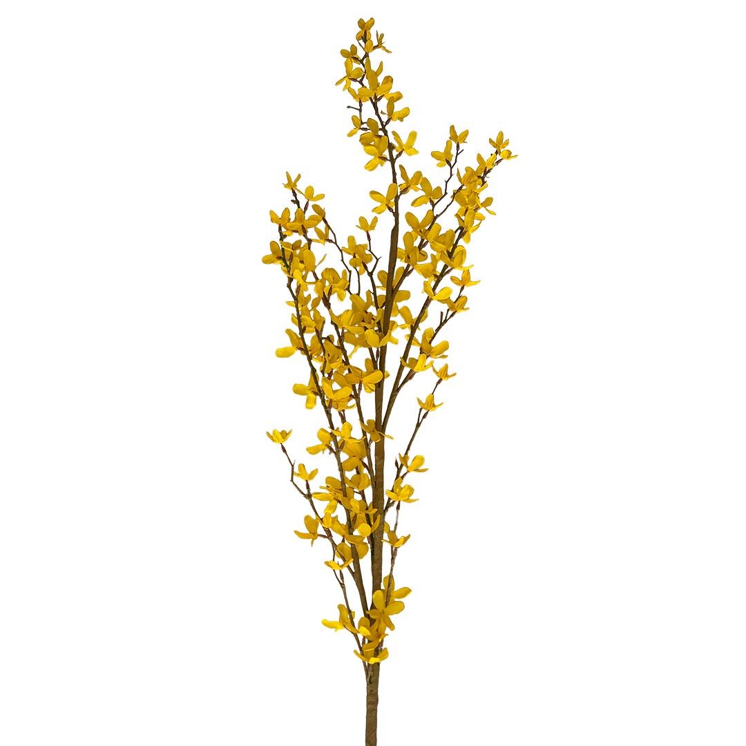 Pick - Yellow Forsythia 120cm
