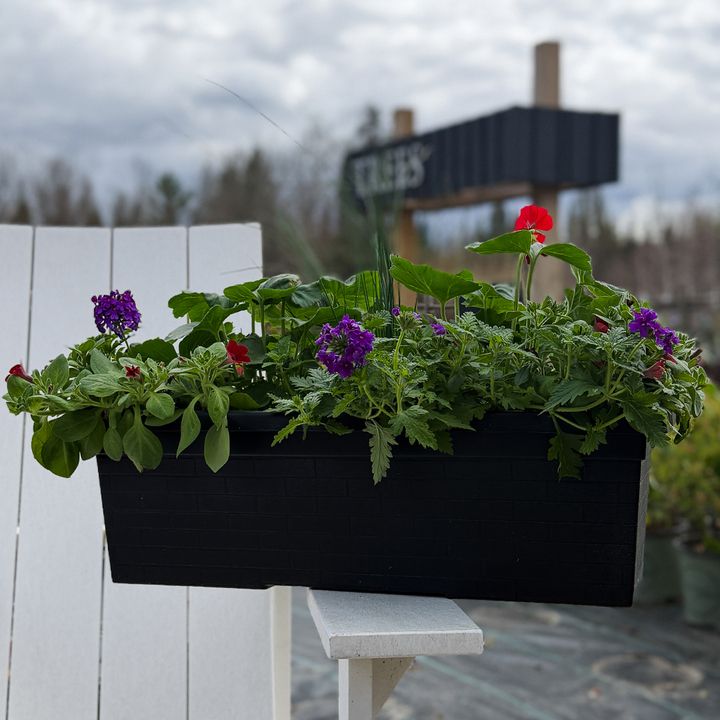 Window Box  Plastic - 24" Assorted