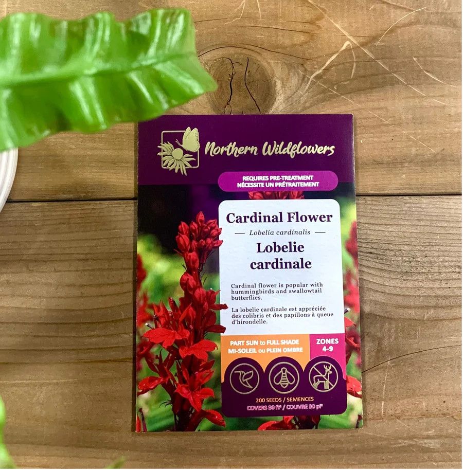 Cardinal Flower  (NF seed pkg)