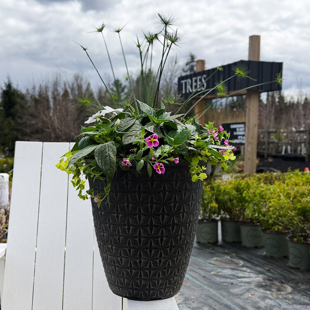 14" Mixed Planter