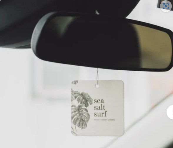 Car Freshener, Variety: Sea Salt Surf