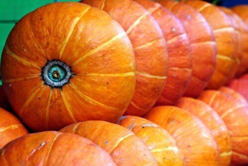 Squash (seed pkg) Sunshine (Kobacha)