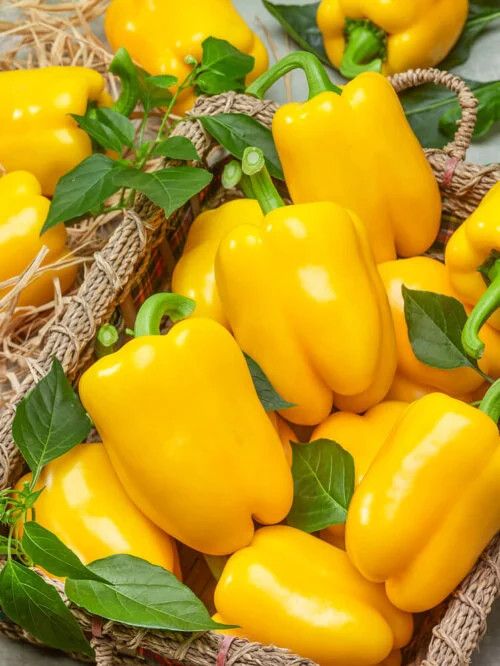 Peppers (seed pkg) Golden Calwonder