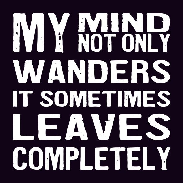 BL Magnets:, Variety: My Mind Not Only Wanders