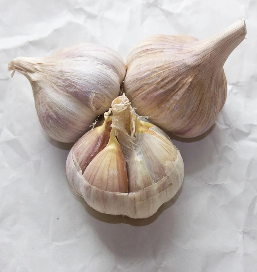 Garlic (bulb pkg) Nov. Music Tops (3/pkg)