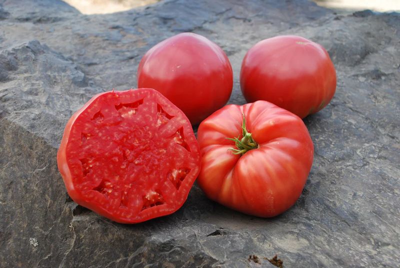 Tomato (seed pkg)