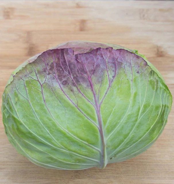 Cabbage (seed pkg)
