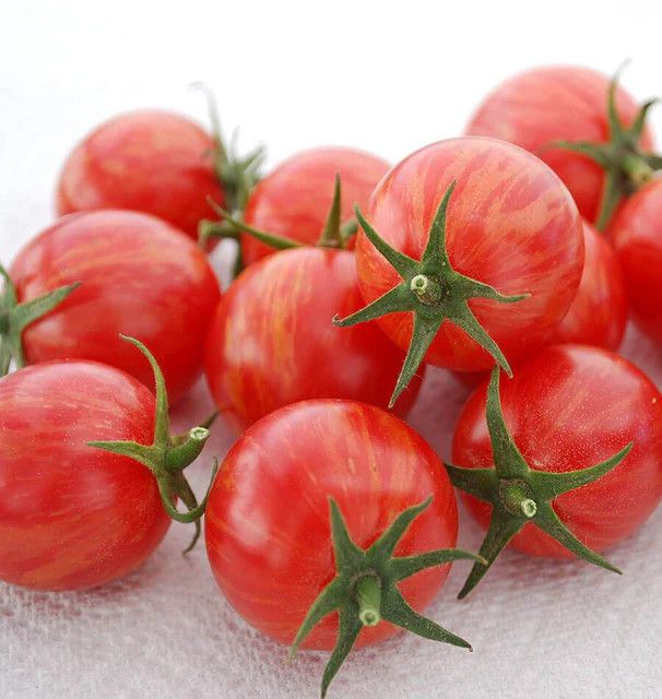 Cherry Tomato (seed pkg), Variety: Pink Bumble Bee Organic (10 seeds)