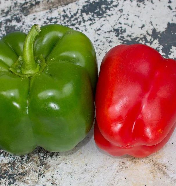 Peppers (seed pkg), Variety: California Wonder 300