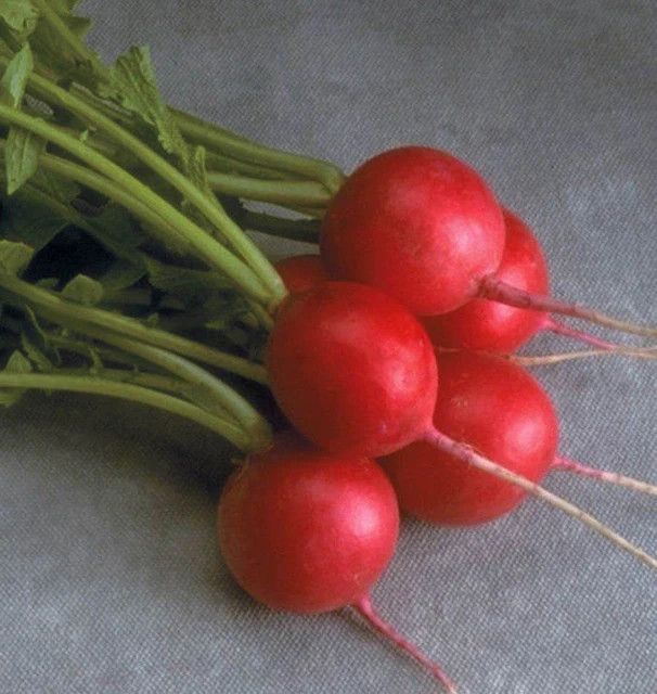 Radish (seed pkg), Variety: Cherriette (100 Seeds)