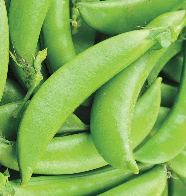 Peas (seed pkg)