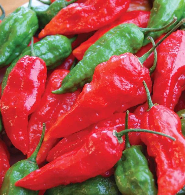 Hot Peppers (seed pkg)
