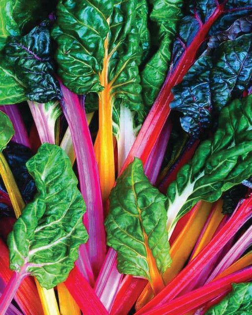 Swiss Chard (seed pkg), Variety: Bright Lights