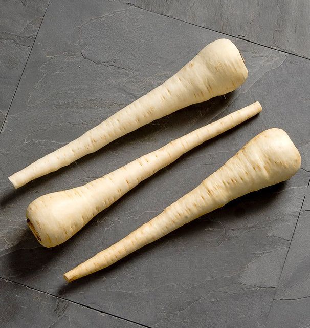 Parsnips White Spear (200 Seeds) (seed pkg)