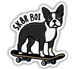 Sticker - Skater Boy