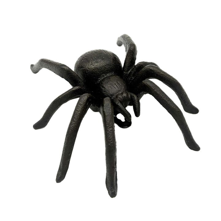 Cast Iron - Spider