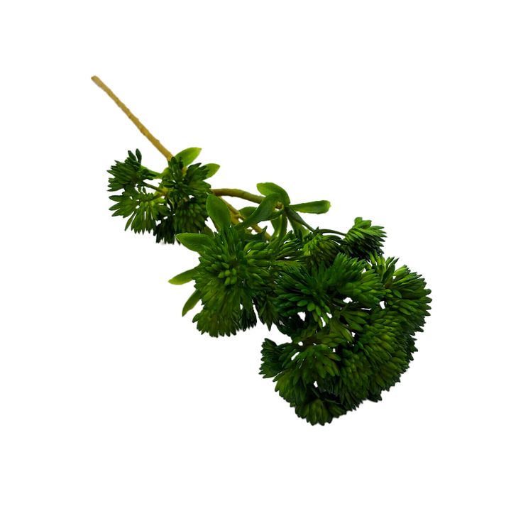 Pick - Faux Succulent Green 36cm