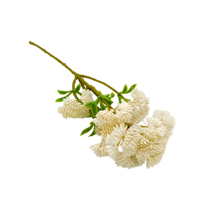 Pick - Faux Succulent White 36cm