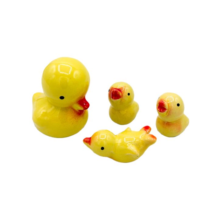 Ceramic Ducks - set of 4