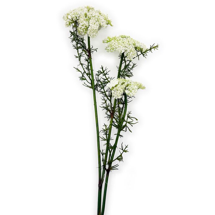 Pick - Faux Yarrow White 75cm