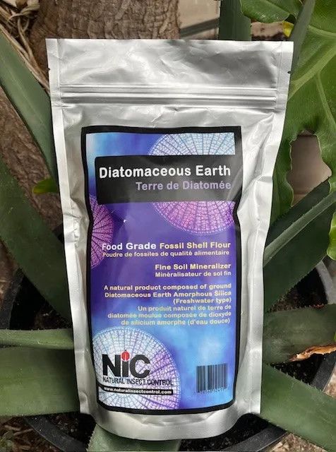 Diatomaceous Earth - Food Grade Fossil Shell Flour 500 gm