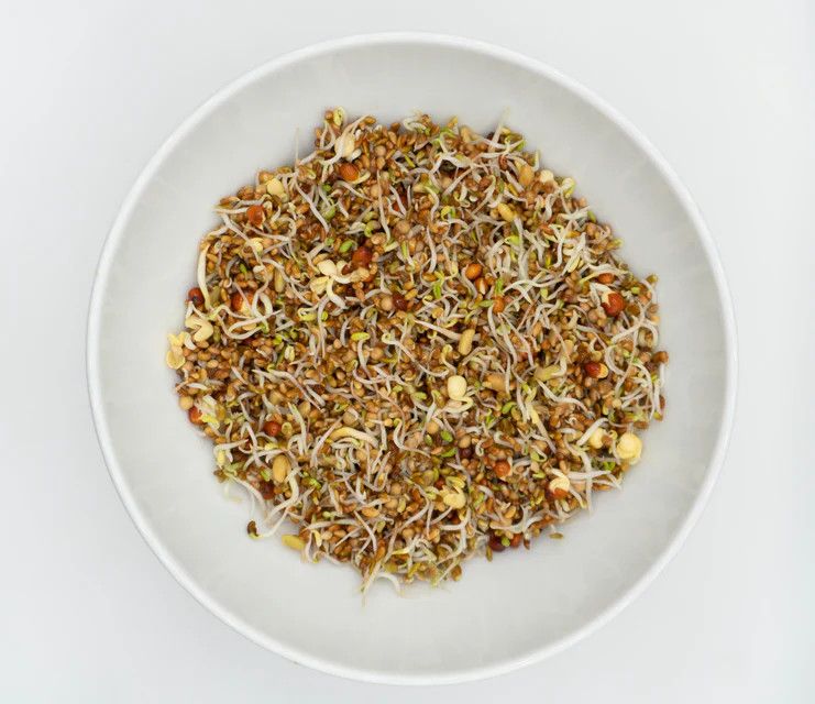 Go Go Mix Organic (seed pkg)