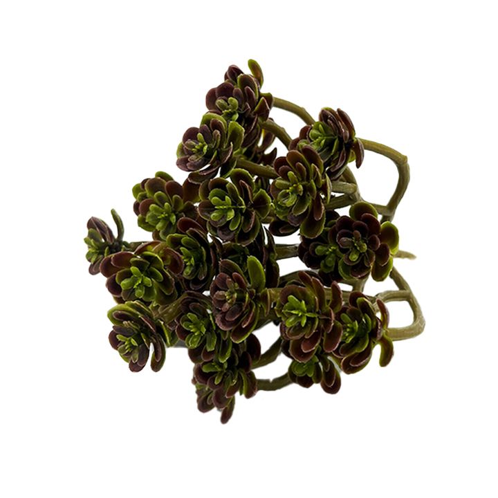Pick - Faux Brown Sedum