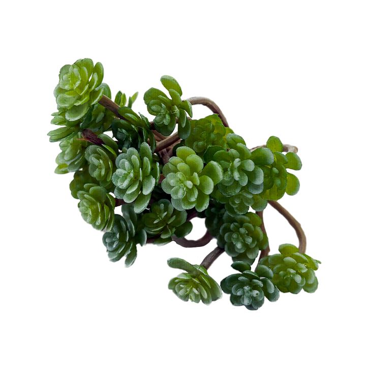 Pick - Faux Green Sedum