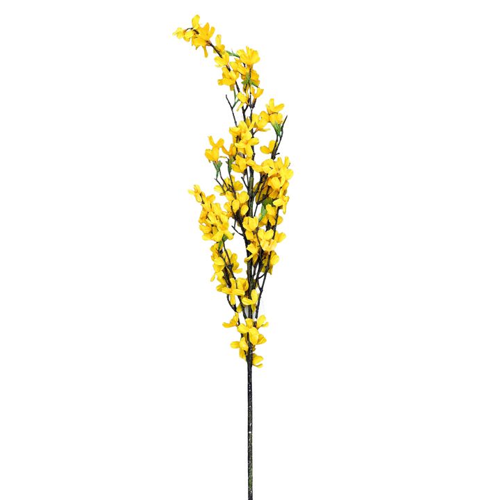 Pick - Yellow Forsythia with Leaves 120cm