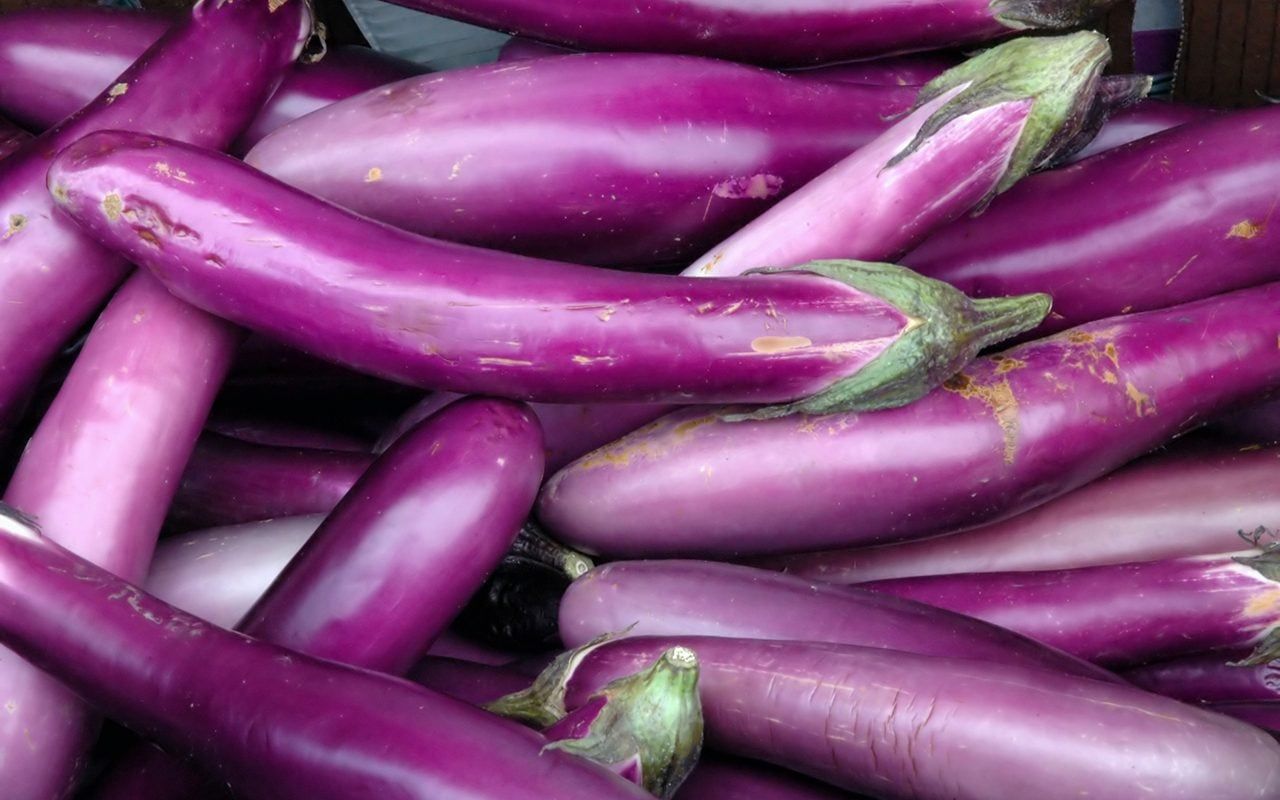 Eggplant 'Asian Long' 4 cell pack