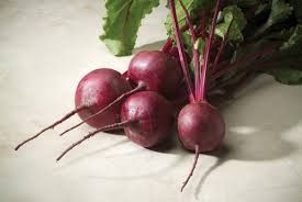 Beets 'Merlin' 4"