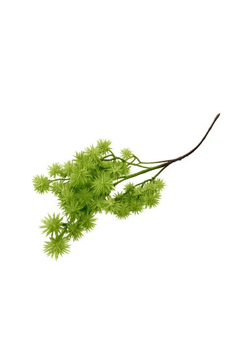 Faux Succulent Green 62cm