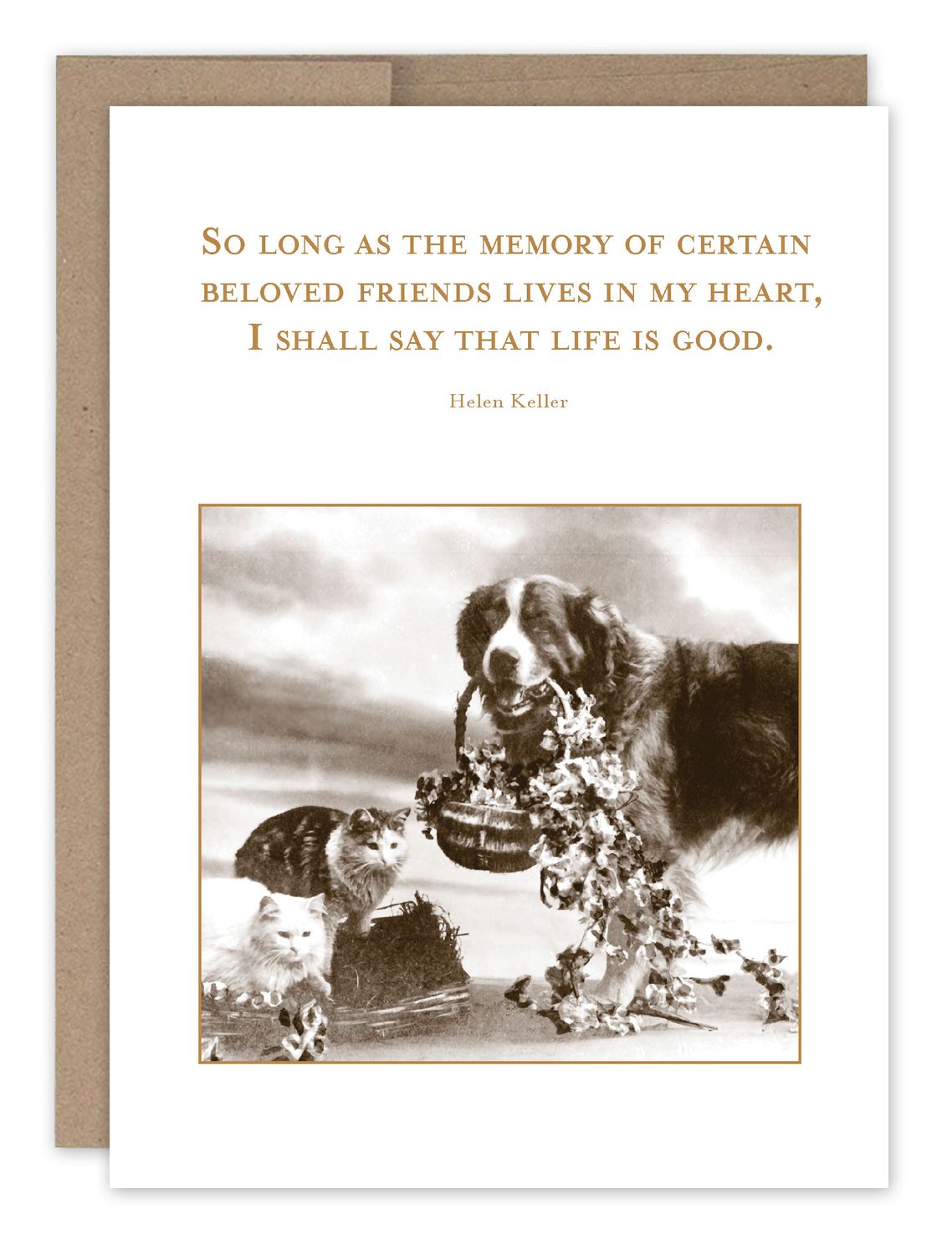 Sympathy Card: Life is Good