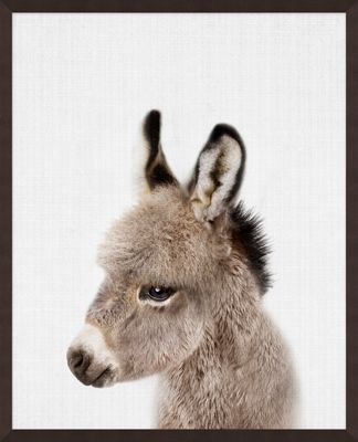Art - Peekaboo Baby Donkey 17" x 21"