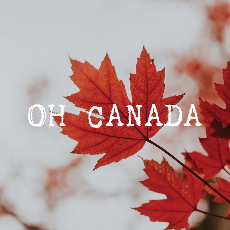 Friendship Card: Oh Canada Maple - blank