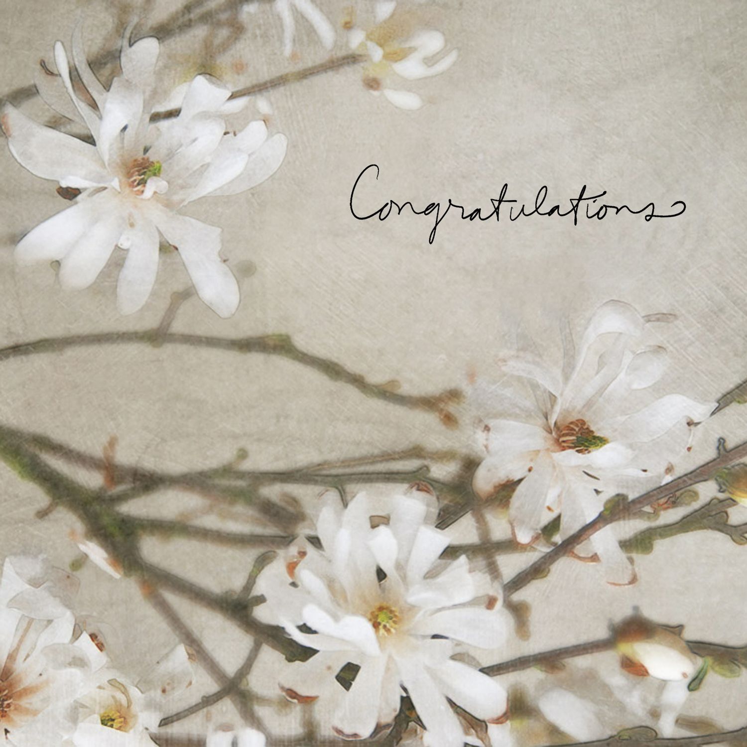 Congratulations Card: Congratulations Blossom - Blank