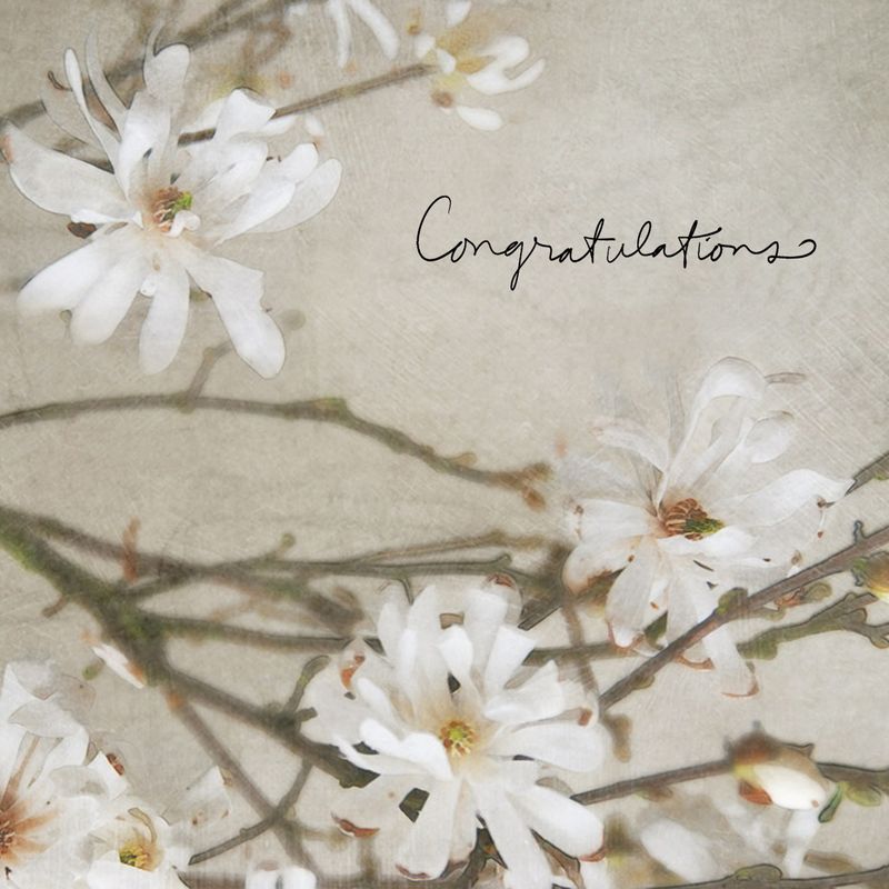 Congratulations Card: Congratulations Blossom - Blank