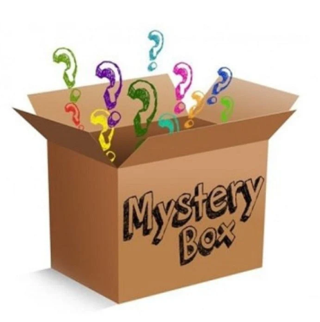 ✨ The MycroMinis Mystery Box ✨