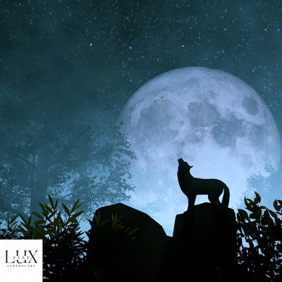 Harnessing the Power of the January 2025 Moon Phases for Magick
