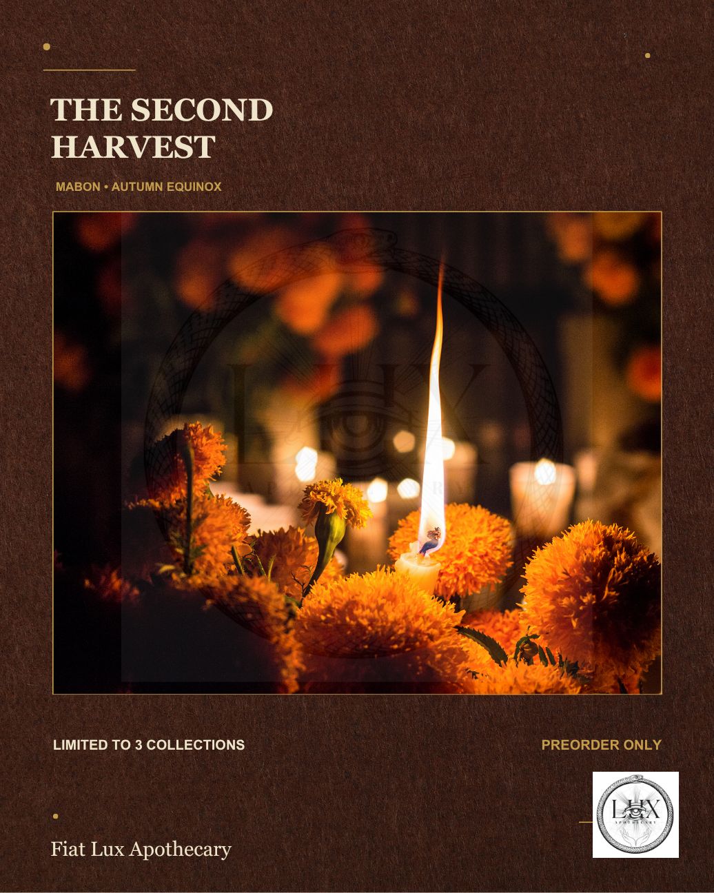PRE-ORDER The Second Harvest Mabon Box