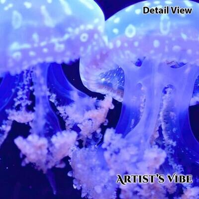 Iridescent JellyFish Photo