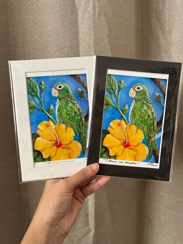 Art print Cotorra con amapola